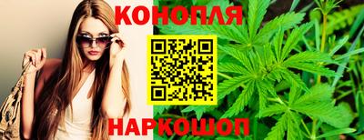 тгк Пенза