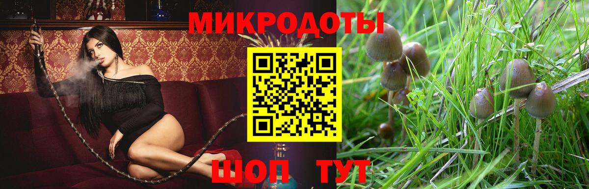 Галлюциногенные грибы GOLDEN TEACHER  Вход с VPN  Галлюциногенные грибы GOLDEN TEACHER  Петрозаводск 